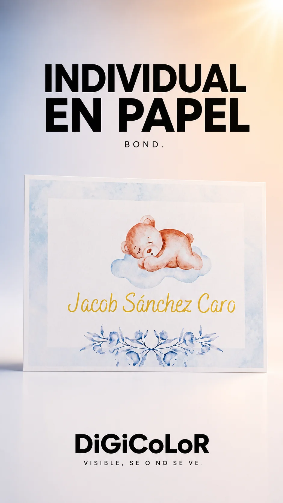 INDIVIDUAL PAPEL